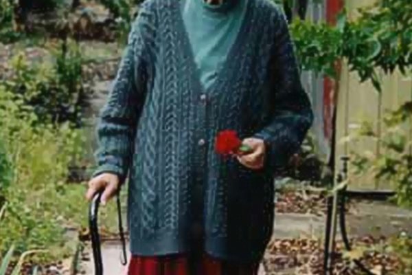 mum in green garden mum in green garden